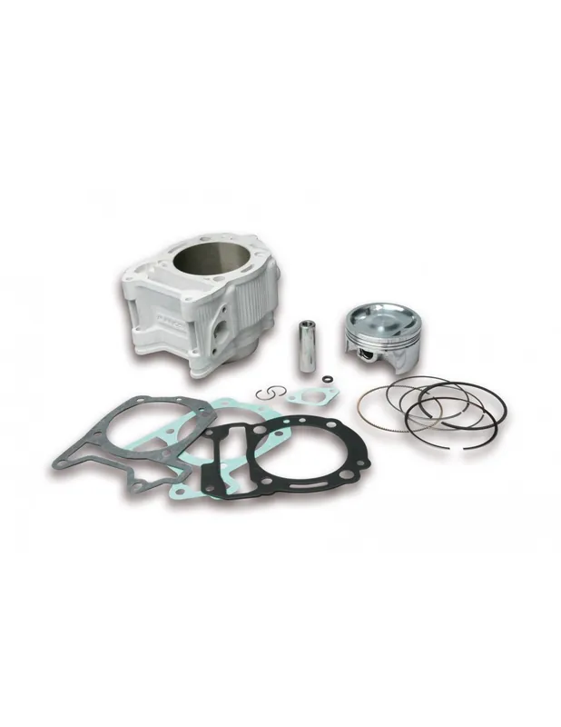 Cylindre Malossi Ø 75,5 SR Gilera Piaggio Aprilia Peugeot 300 Sr Max Nexus MP3 Beverly X7 Evo Sportcity Remise