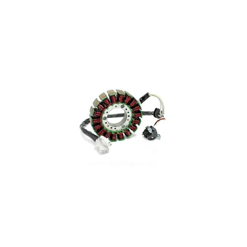 Expédié Aujourd&rsquo;hui Stator d&rsquo;allumage Xmax / Skycruiser 125 / Evolis Xcity Cityliner 125 06-20