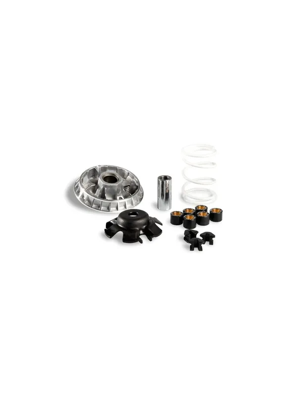 Variateur Malossi Sym Cruisym 250 300 euro-4 GTS Joymax Citycom HD 300 TGB X Motion Pas Cher