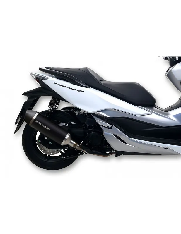 Haute Qualité Pot d&rsquo;échappement RX Forza 300 euro 4 2018- Malossi silencieux black homologuée