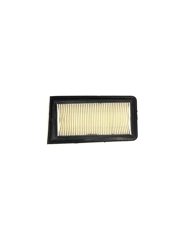 Quantité Limitée Filtre à air Suzuki Burgman 650 03-19