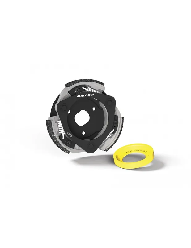 Seulement Aujourd&rsquo;hui Embrayage Maxi Delta Malossi Honda Forza 125 15-25