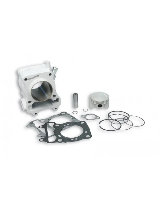 Achat Immédiat Kit cylindre Malossi Ø 58 alum Honda SH SHi 125 09-12 PS 125 @ 125 S-Wing 125 Dylan Pantheon 125