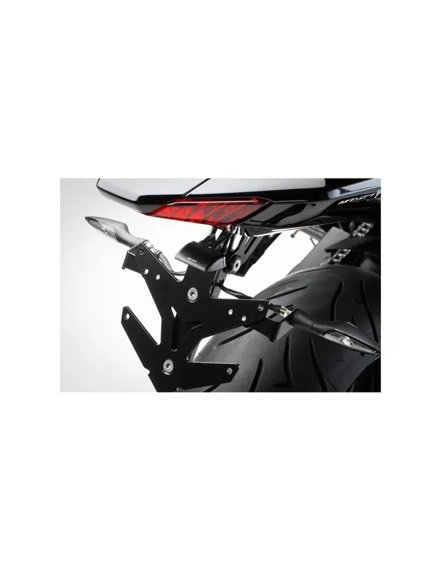 Commander Maintenant Support de plaque BCD Yamaha MT07 14-24 (pour passage de roue BCD)