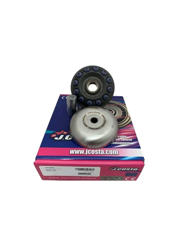 Variateur JCosta Pro Daelim NS III 125cc, S1 125cc, S2 125cc, NS dlx 125cc, S3 125cc, XQ1 125cc Dernière Chance
