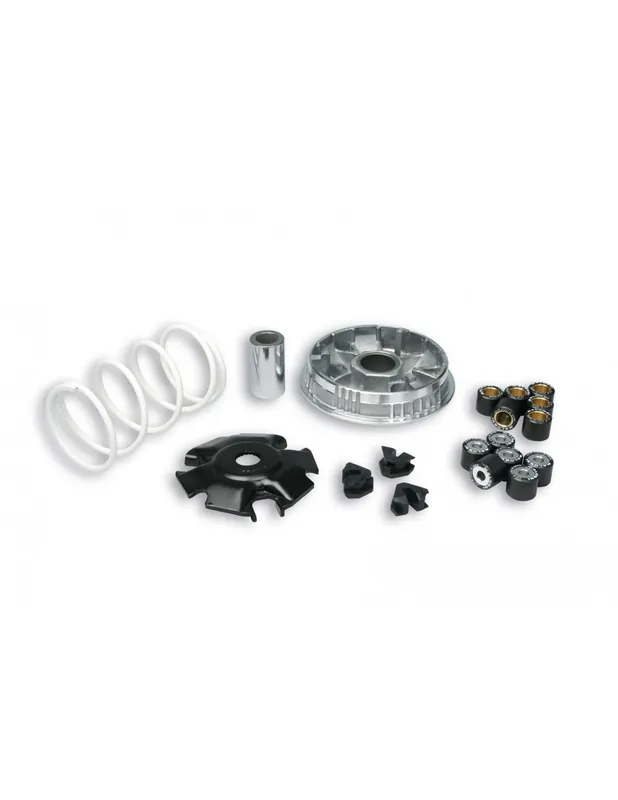 Variateur Malossi Multivar Piaggio X9 125 / X9 Evo 125 / X9 SL 125 Nouvel Arrivage