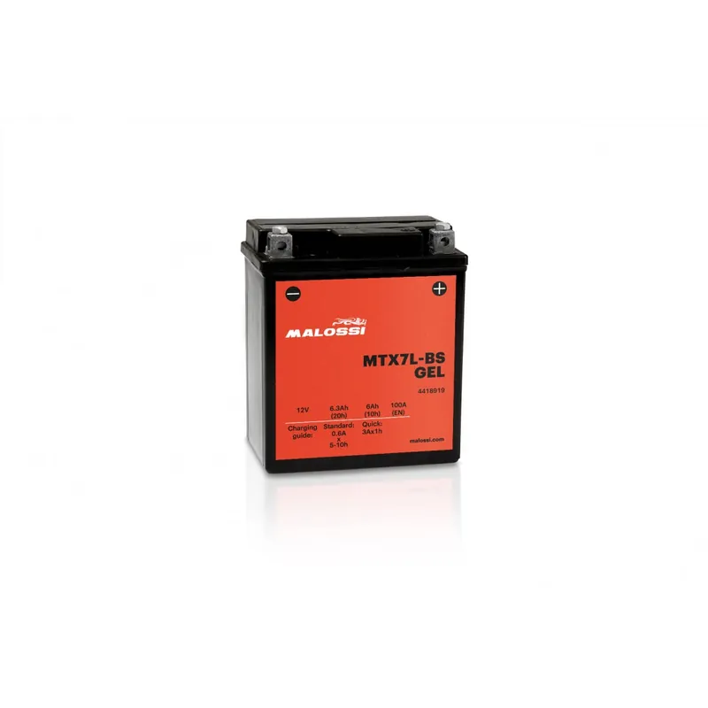 Acheter En Ligne Batterie Gel Malossi Honda S-Wing 125 07-11