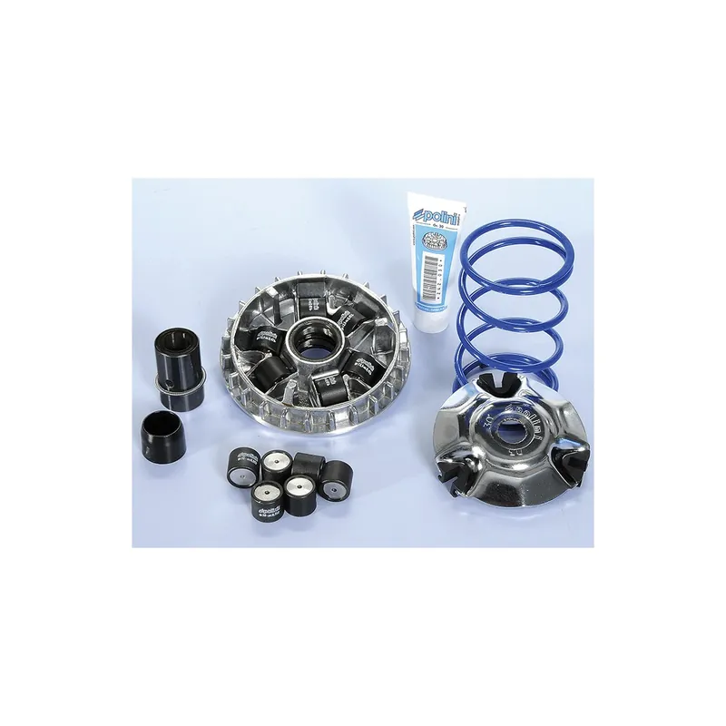 Commande En Gros Variateur Polini Aprilia Scarabeo 125 03-06 Scarabeo Light 125 07-12