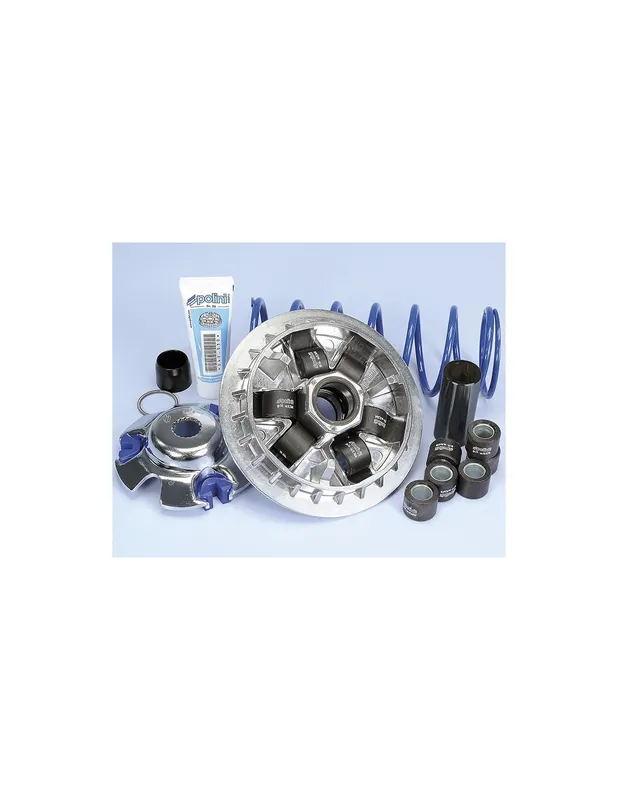 Acheter Direct Variateur Polini 6G Kawasaki J300