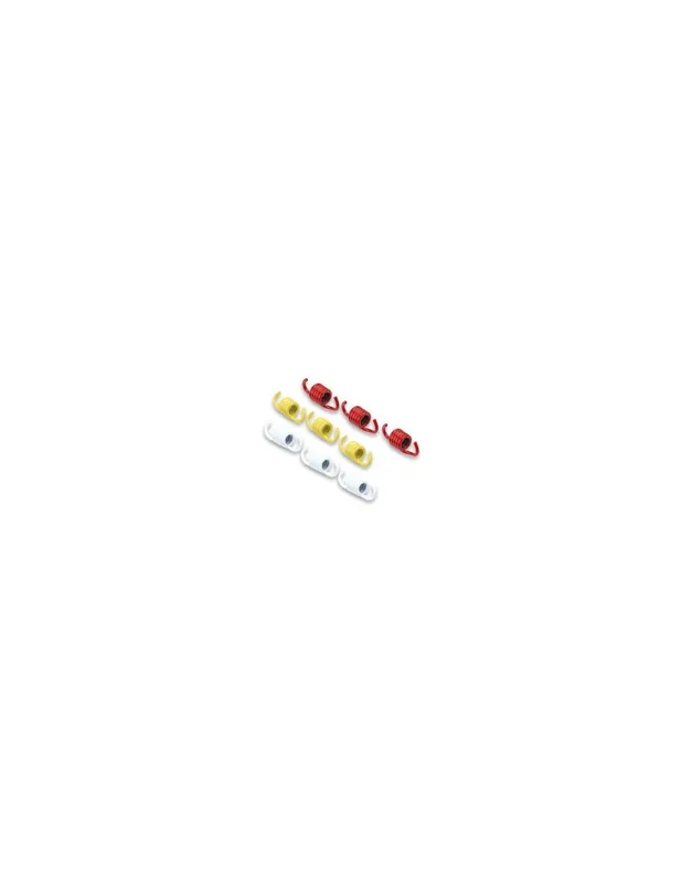 Ressorts Malossi Kymco Skytown 125 (pour embrayage d&rsquo;origine) Certifié