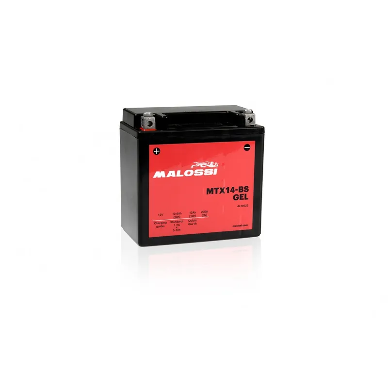 Commander Maintenant Batterie Gel Malossi Piaggio MP3 310 euro-5+ 24-25