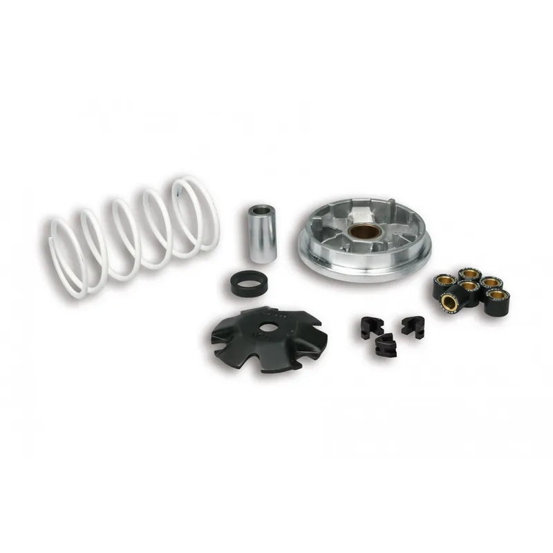 Variateur Malossi Peugeot Citystar 50 2t Promotion