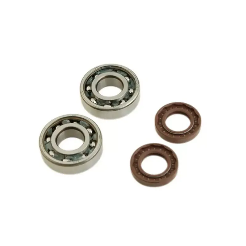 Kit Roulements C3 + Joints Spi Nitrile DERBI E2 E3 E4 – Type Origine Usine Directe