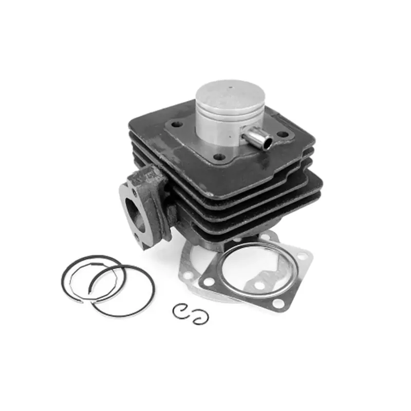 Prix Bas Kit Cylindre 50cc Aprilia Mojito Suzuki Katana AC – TNT Fonte
