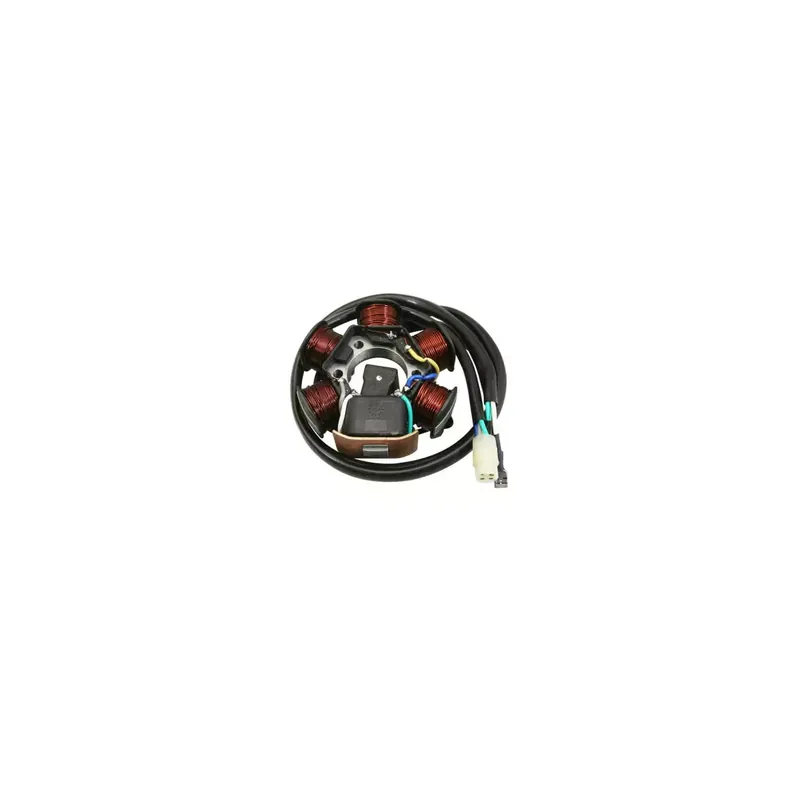 STATOR ORIGINE PIAGGIO 50 TYPHOON, NRG, ZIP RST 1998/2004 Achat Immédiat