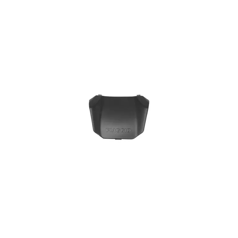 COUVERCLE DE PORTE-BAGAGE ARRIERE ORIGINE PIAGGIO 50 NRG MC3 1998/2004 Acheter Direct