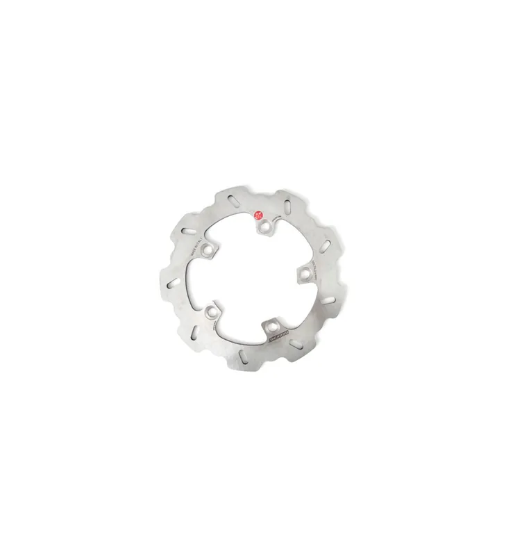 Seulement Aujourd&rsquo;hui DISQUE DE FREIN ARRIERE BRAKING 245MM R
