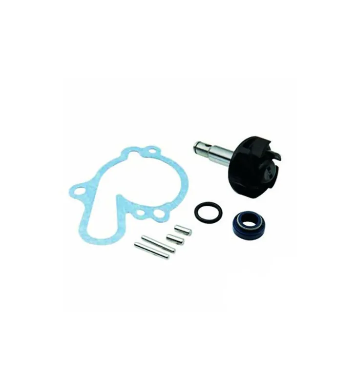 Remise POMPE A EAU MOTO TOP PERF MINARELLI AM6 (KIT)