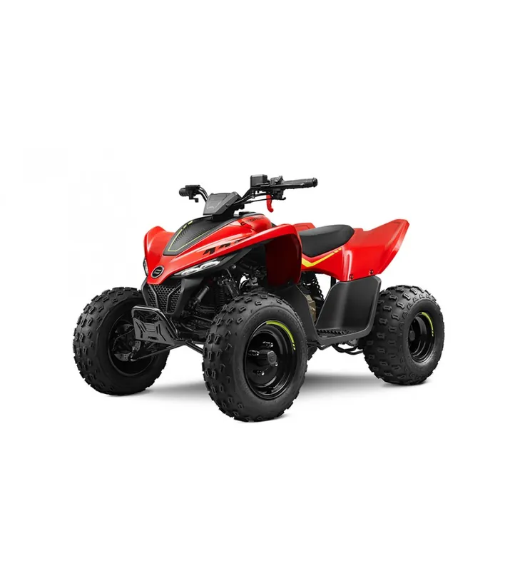 Vente Directe QUAD CF MOTO ENFANT CFORCE BASIC 110 BLEU OU ROUGE