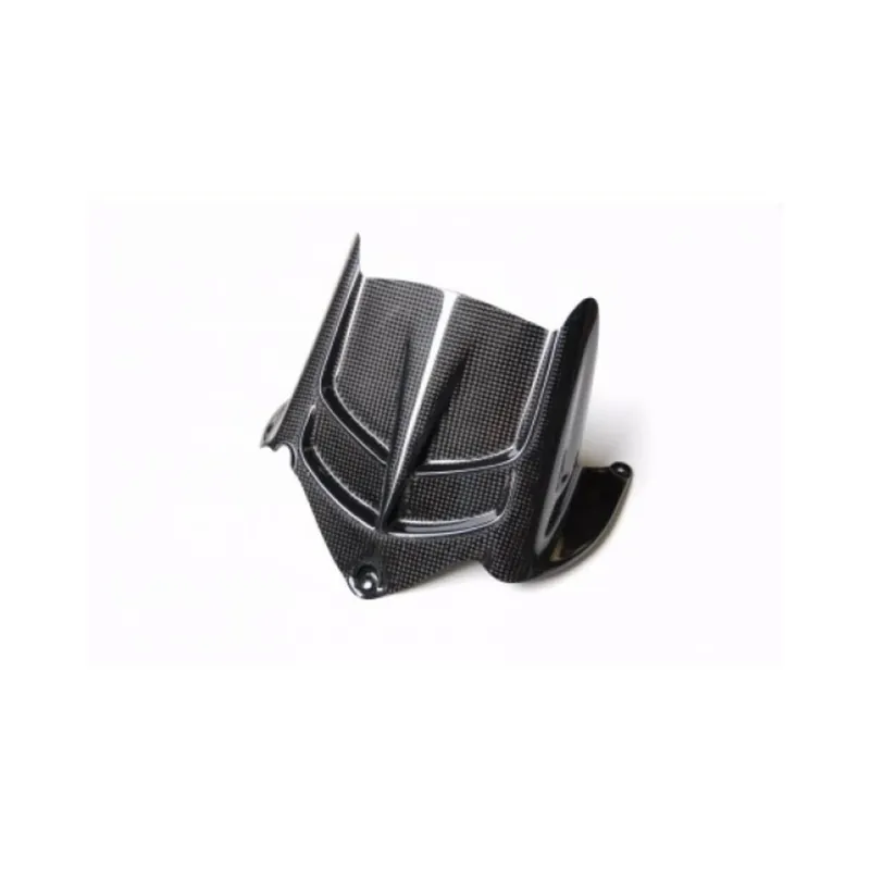 Meilleure Vente Garde boue arrière LIGHTECH carbone brillant Kawasaki Zx6R