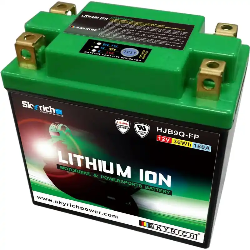 Meilleur Prix Batterie SKYRICH Lithium-Ion - LIB9