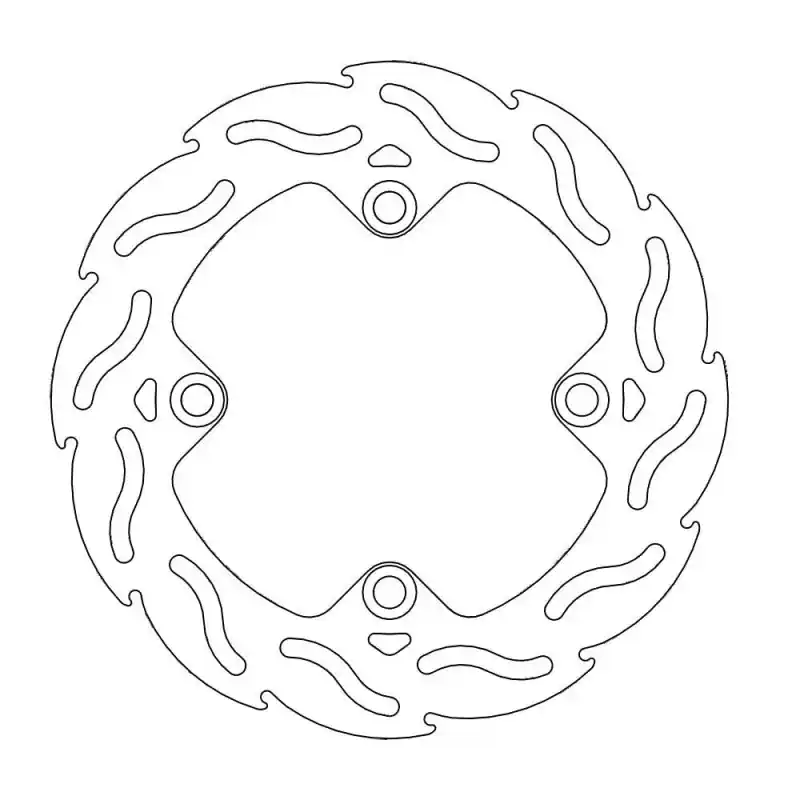 Remise BRAKE DISC FLAME REAR