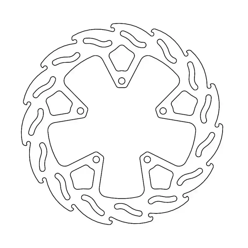 BRAKE DISC FLAME REAR Dernier Modèle