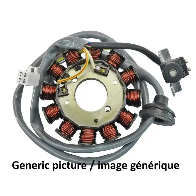 Seulement Aujourd&rsquo;hui Stator TECNIUM Triumph Daytona 955