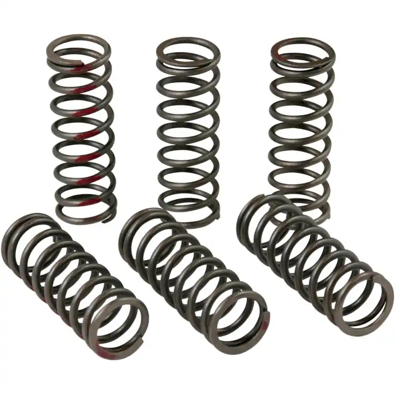 Paiement Sécurisé CLUTCH SPRINGS CRF450R