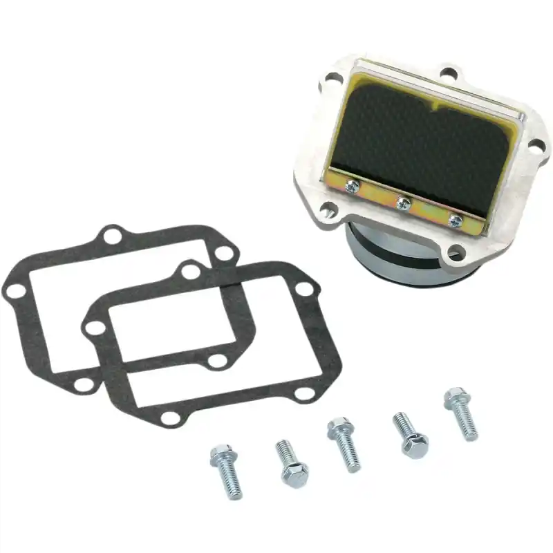Remise RAD VALVE KTM 250 98-01