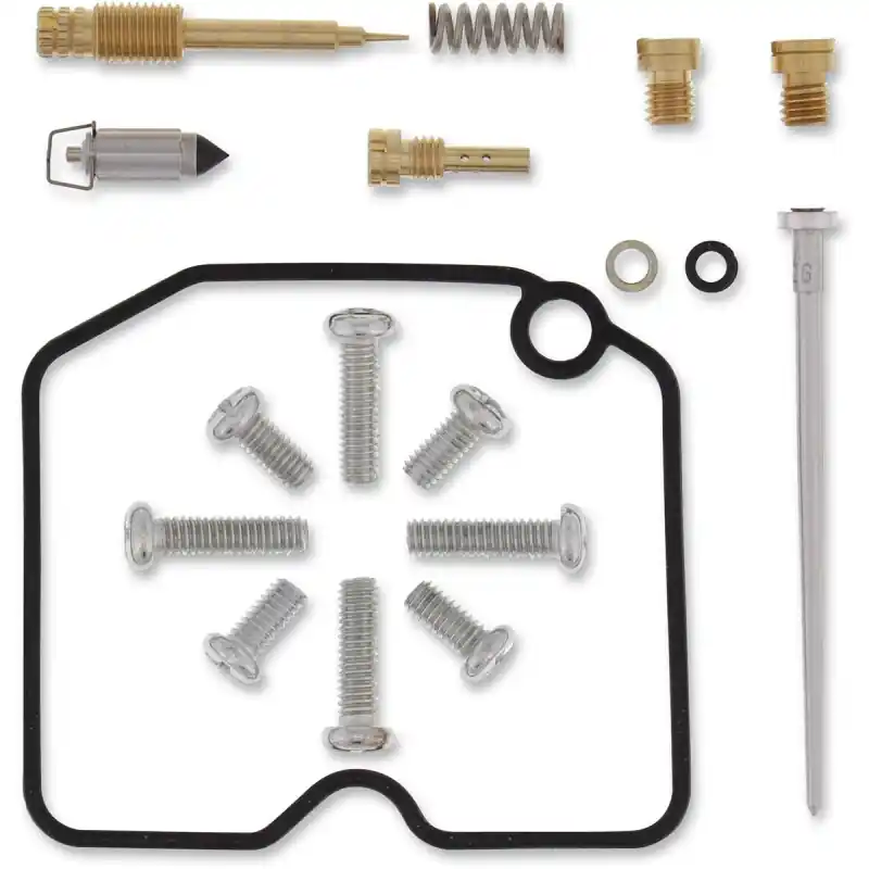 Offre Exclusive Kit de Réparation Carburateur ARCTIC CAT