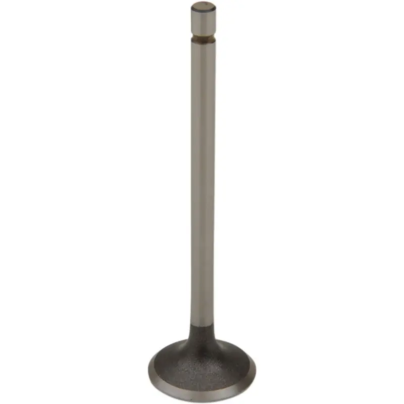 STEEL EXH VALVE XR200R Prix Promo