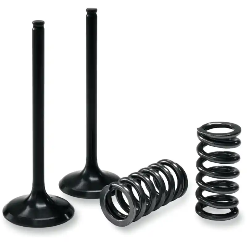 EXHAUST VALVE/SPRING KIT Must-Have