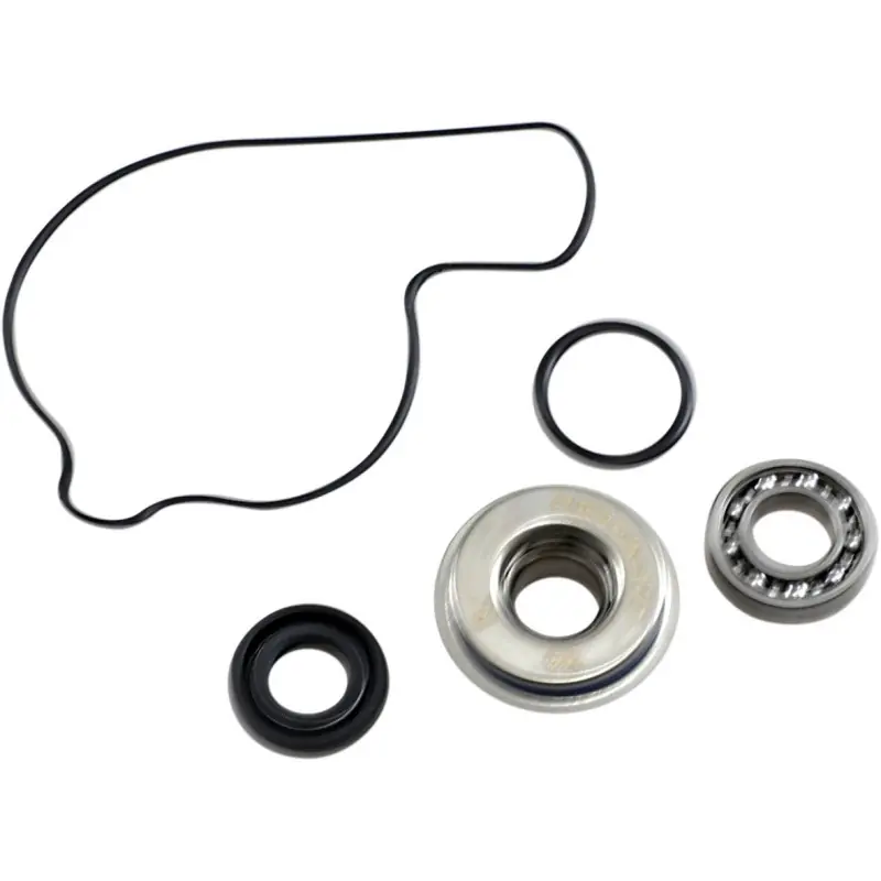 REPAIR KIT WATER PUMP Authentique