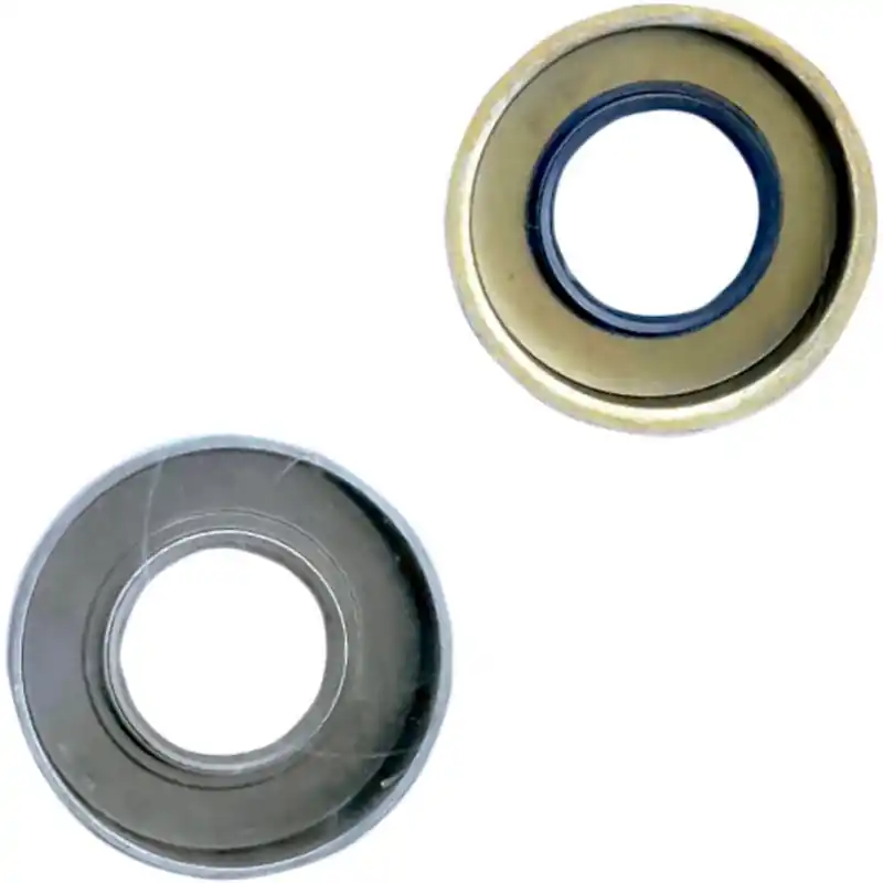Affaire À Saisir CRANKCASE OIL SEAL P1100