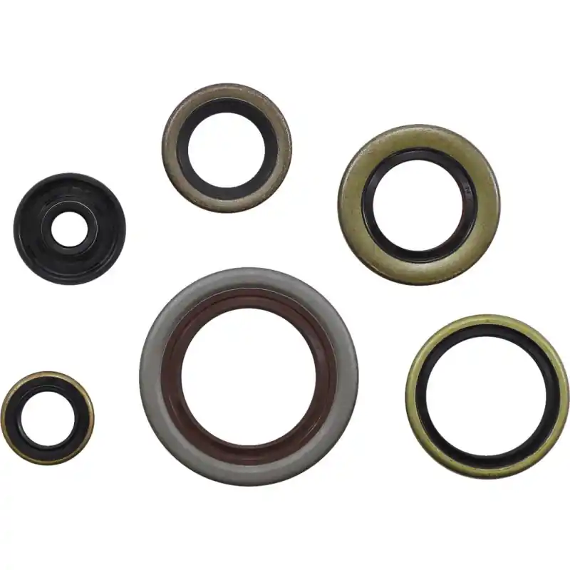Commander Vite GASKET KIT OIL SEAL KTM