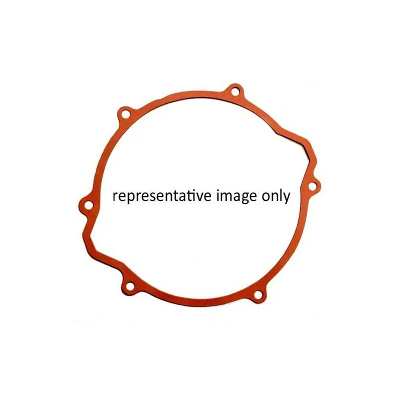 Commander Vite GASKET REPLCMNT CCG-06A