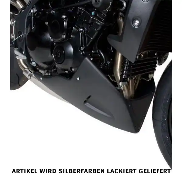 Barracuda Bugspoiler AEROSPORT für Triumph Speed Triple 2011 – 2015 silber lackiert Achetez Aujourd&rsquo;hui